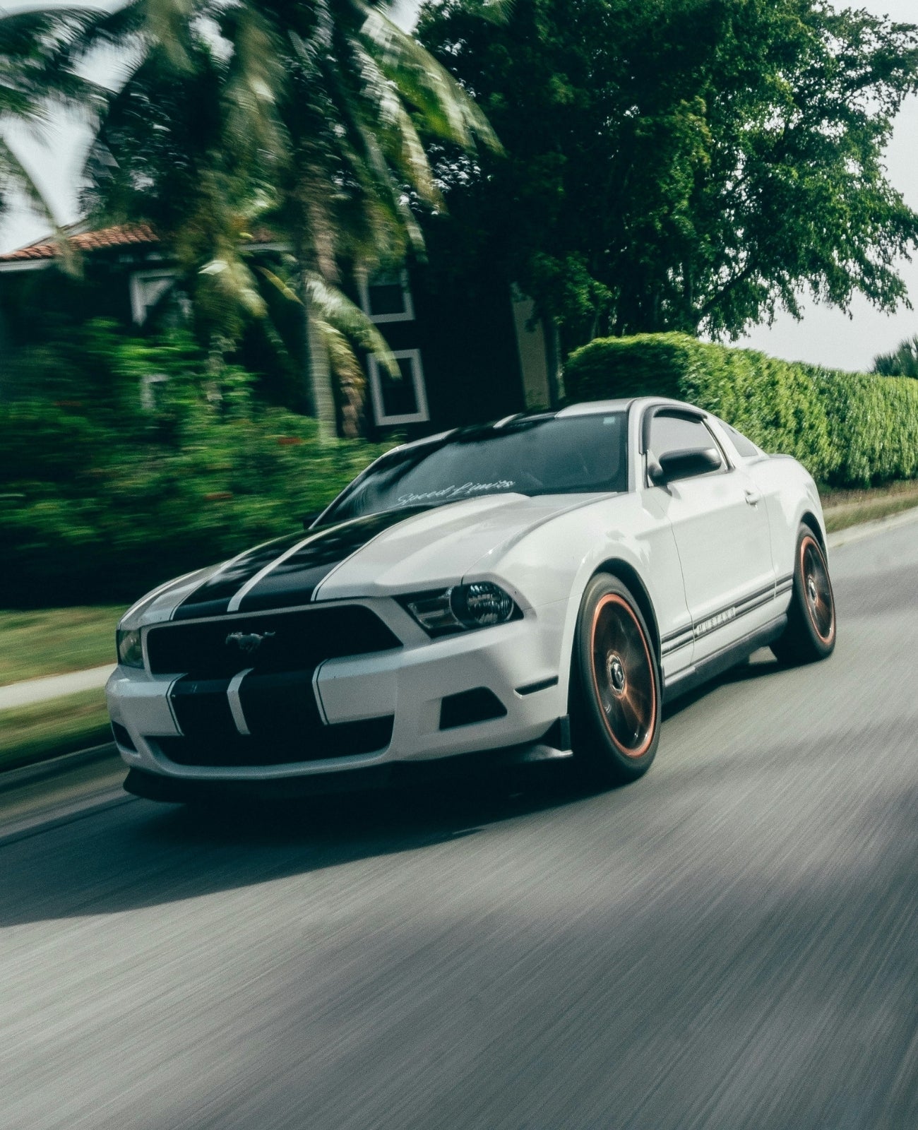 2010-2014 Mustang